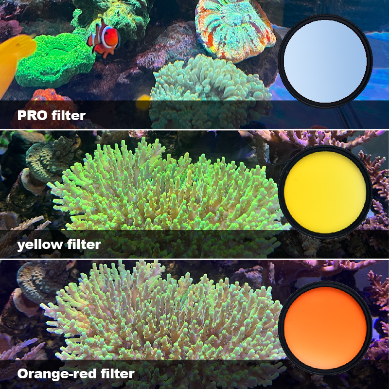 Photo Develop Tank - Vastocean marine tank filter saltwater coral